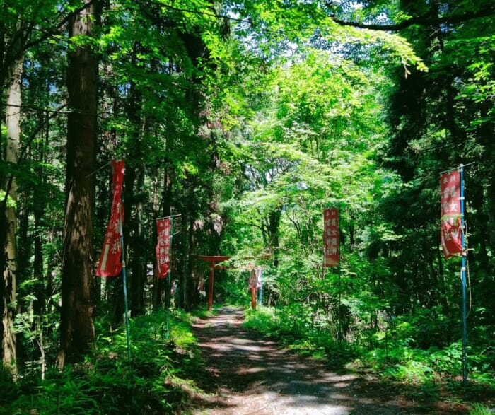 秩父の「隠れた龍神スポット」善女龍王神社・雷電神社―珍しいパワースポット＆龍神好きにおススメ