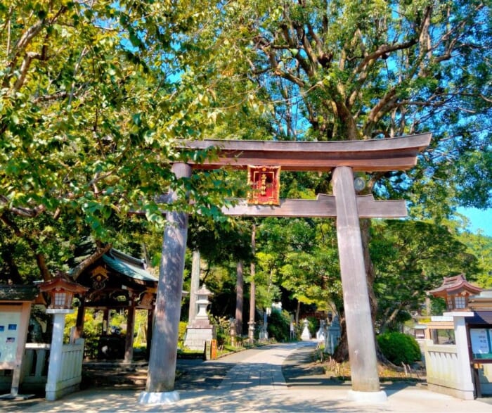 この秋オススメの開運パワースポット「高麗神社」と巾着田の曼珠沙華の異世界