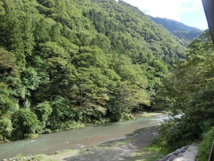 自然に囲まれた上野村　ぬくもりを感じる木工品が手に入る　ウッディ上野村銘木工芸館