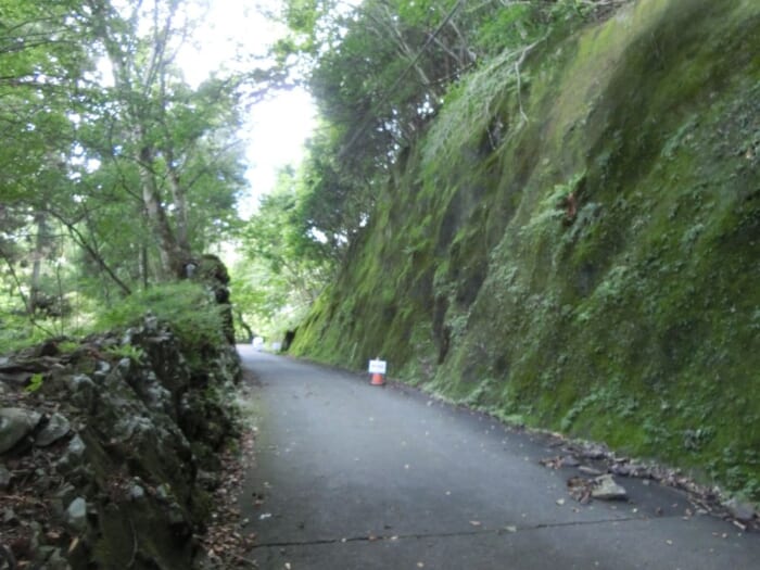 健脚者向き　洞窟探検気分を味わえる不仁洞　山奥の絶景も楽しめます！