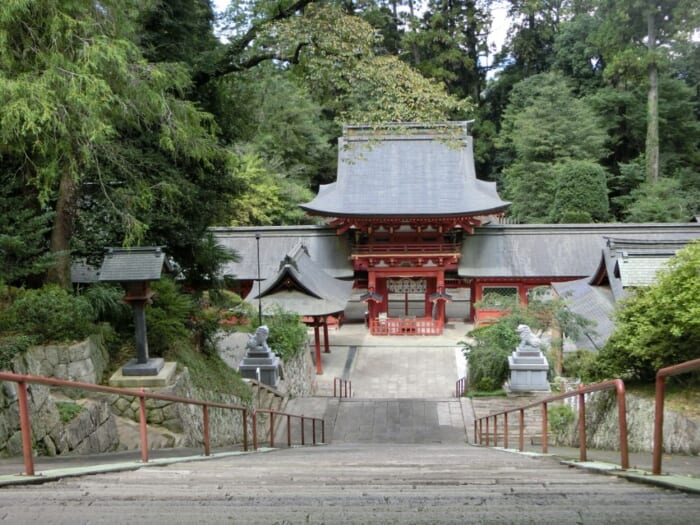 無事にカエル　実話に基づくカエルの信仰が根付く　貫前神社