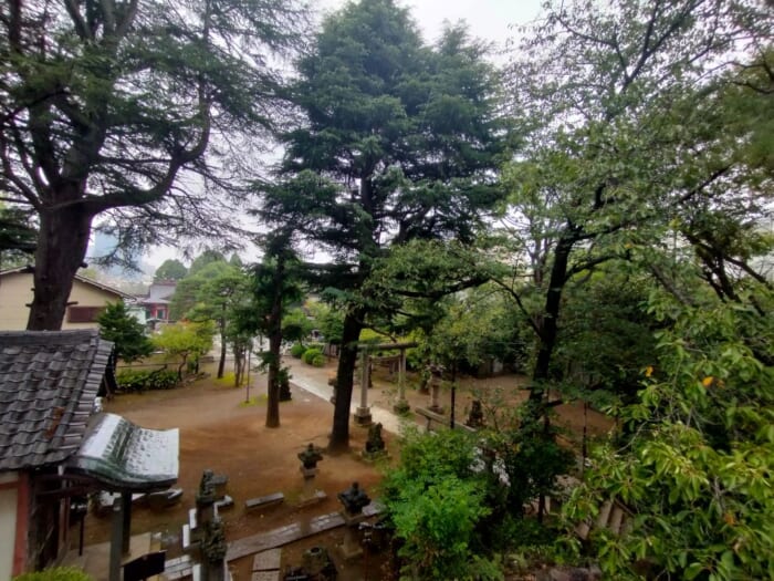 【都内龍神スポット】品川神社＆荏原神社と温泉と食の開運散歩にでかけよう！