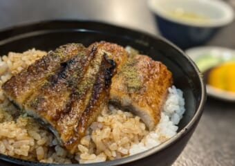 大阪人が大好きな「まむし」を朝ごはんにどうぞ！大阪木津卸売市場でいただく絶品うな丼