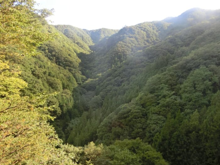 健脚者向き　洞窟探検気分を味わえる不仁洞　山奥の絶景も楽しめます！