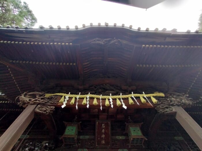 【都内龍神スポット】品川神社＆荏原神社と温泉と食の開運散歩にでかけよう！