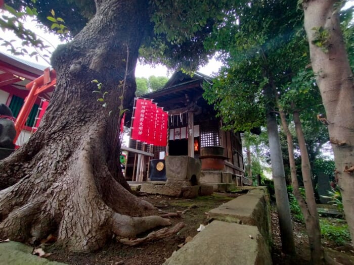 【都内龍神スポット】品川神社＆荏原神社と温泉と食の開運散歩にでかけよう！