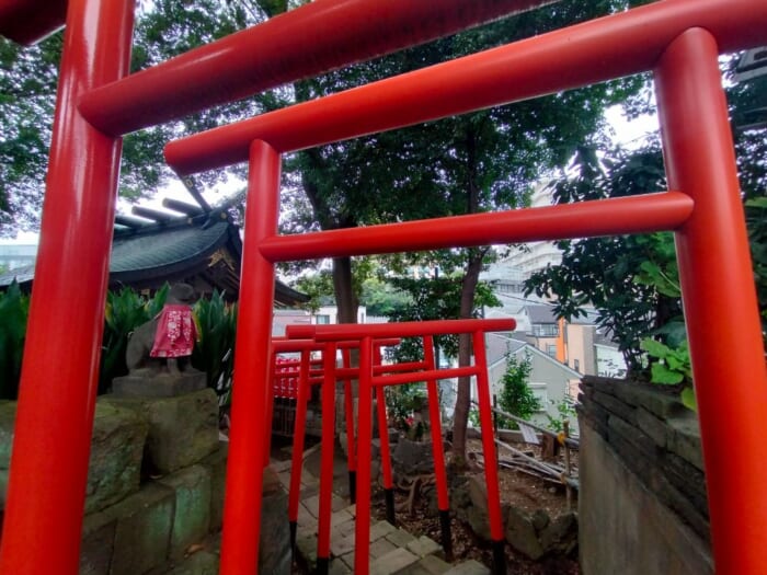 【都内龍神スポット】品川神社＆荏原神社と温泉と食の開運散歩にでかけよう！