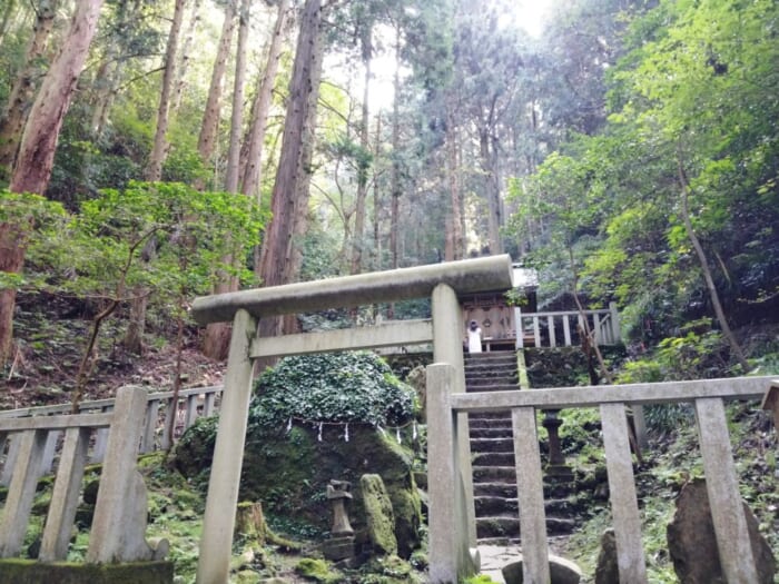 宇宙に向かって光の柱が出てると噂のパワースポット「御岩神社」は神様のデパートだった