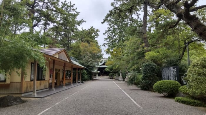 徳川家康も度々参拝に訪れた浜松八幡宮　彼を救った楠木とは？開運スポットとしても人気です