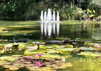 美しい花に囲まれた庭園を散歩しよう！カフェやフラワーショップもある都心の公園「久屋大通庭園フラリエ」