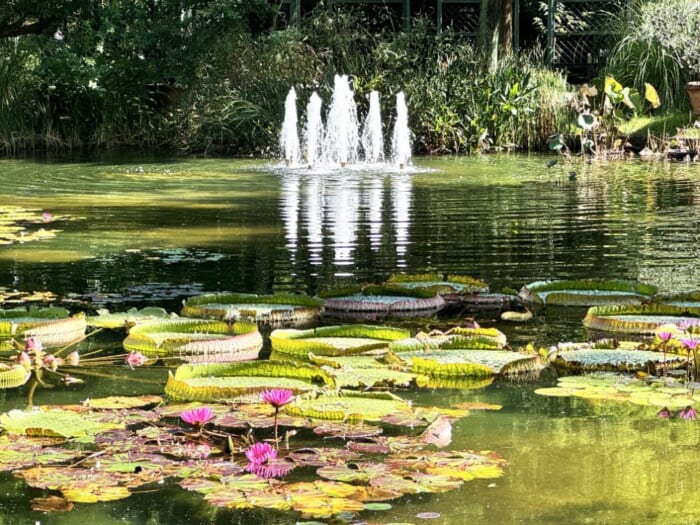 美しい花に囲まれた庭園を散歩しよう！カフェやフラワーショップもある都心の公園「久屋大通庭園フラリエ」