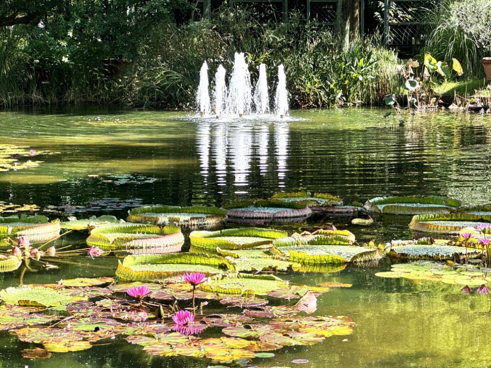 美しい花に囲まれた庭園を散歩しよう！カフェやフラワーショップもある都心の公園「久屋大通庭園フラリエ」