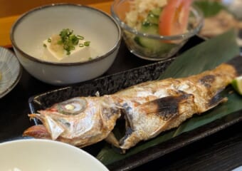 漁港の食堂で新鮮なノドグロを定食でいただく！福江島のランチは「食堂 さんさん」で