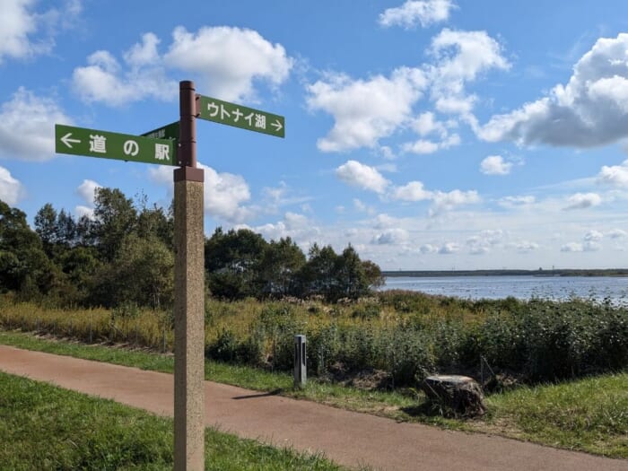 渡り鳥と湖に癒される！ラムサール条約登録の「ウトナイ湖」で野鳥と道の駅を満喫