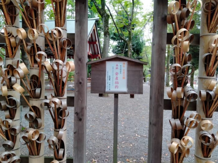 西東京の最強パワースポット「大國魂神社」は願いごとが叶いやすいらしい！？