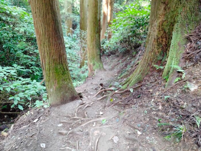 宇宙に向かって光の柱が出てると噂のパワースポット「御岩神社」は神様のデパートだった