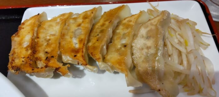 迷ったらここ！銘柄豚使用　素材にこだわり餃子マイスターが焼き上げる　浜松餃子　浜太郎