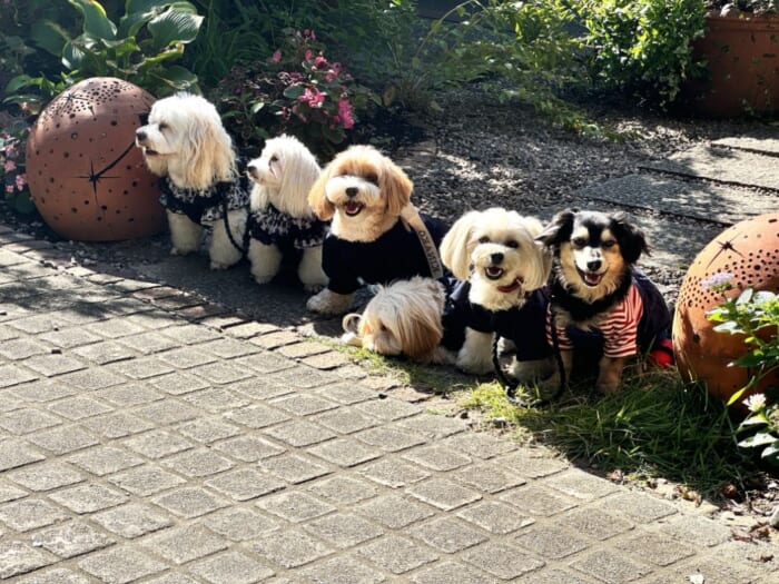 美しい花に囲まれた庭園を散歩しよう！カフェやフラワーショップもある都心の公園「久屋大通庭園フラリエ」