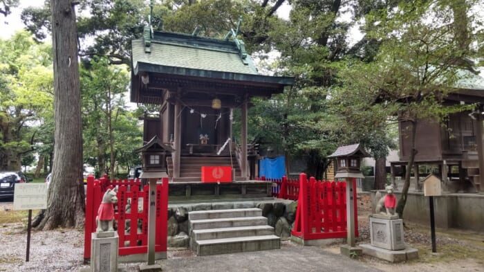 徳川家康も度々参拝に訪れた浜松八幡宮　彼を救った楠木とは？開運スポットとしても人気です