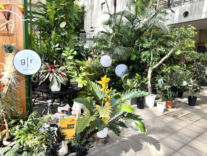 美しい花に囲まれた庭園を散歩しよう！カフェやフラワーショップもある都心の公園「久屋大通庭園フラリエ」