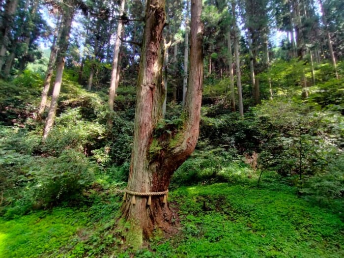 宇宙に向かって光の柱が出てると噂のパワースポット「御岩神社」は神様のデパートだった