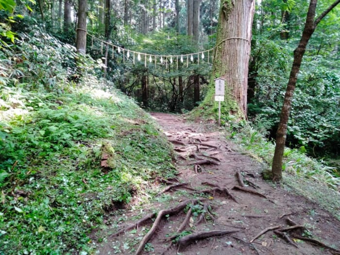 宇宙に向かって光の柱が出てると噂のパワースポット「御岩神社」は神様のデパートだった