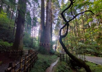 宇宙に向かって光の柱が出てると噂のパワースポット「御岩神社」は神様のデパートだった