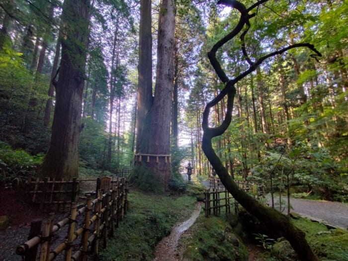 宇宙に向かって光の柱が出てると噂のパワースポット「御岩神社」は神様のデパートだった