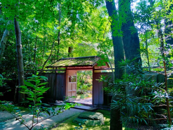 八方除けで開運体質になれる！？関東の守護神「寒川神社」へ行ってきた