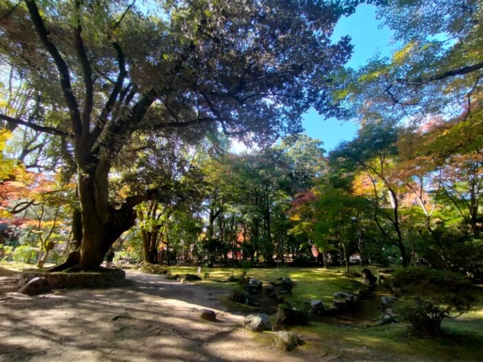 「光る君へ」聖地巡礼―紫式部も参拝した京都の守り神「上賀茂神社」＆「大田神社」