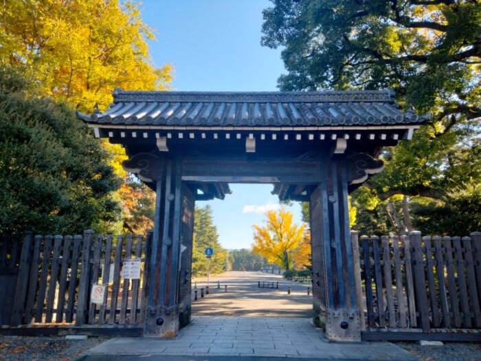 京都平安の面影を求めて巡礼―陰陽師の聖地・晴明神社＆空海ゆかりの龍神スポット・神泉苑