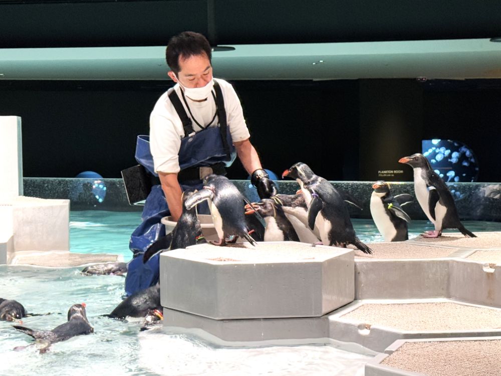 札幌の新たな観光スポットを調査！ 市街地のビルにオープンした都市型水族館「AOAO SAPPORO」