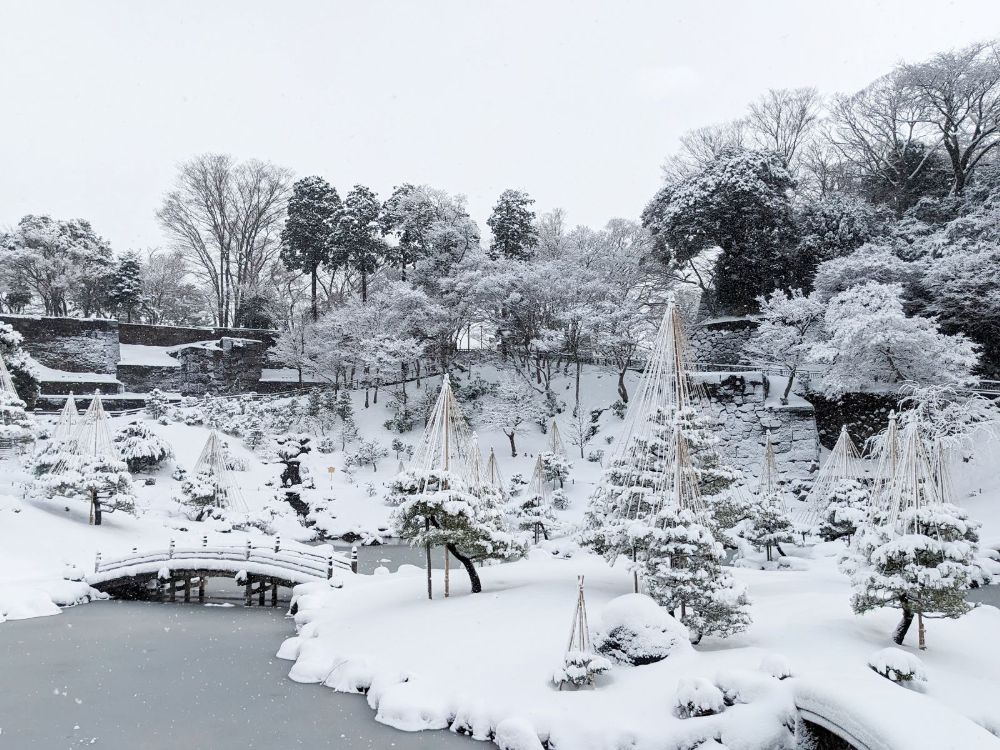 金沢の雪景色を堪能！兼六園・玉泉院丸庭園・金沢城公園とあったかグルメ&スイーツ