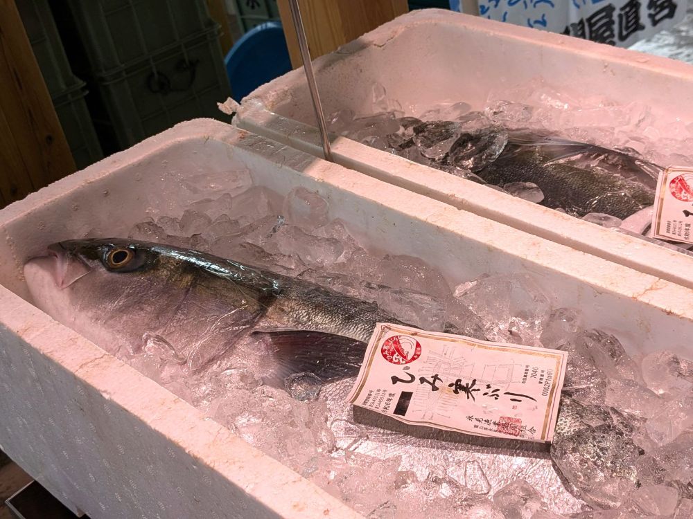 魚市場食堂が長蛇の列なら同系列の「ひみ岸壁市場・食堂」へ！ 寒ブリの鮮度はそのままに待ち時間のストレスなし！