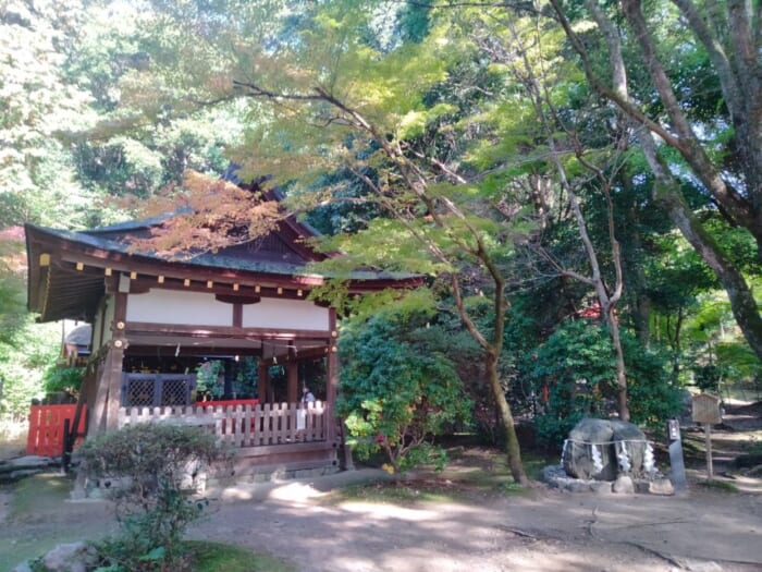 「光る君へ」聖地巡礼―紫式部も参拝した京都の守り神「上賀茂神社」＆「大田神社」