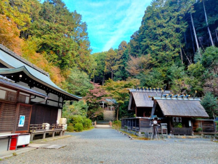 パワースポットマニアが本当は教えたくないお気に入りの京都のお伊勢さん「日向大神宮」