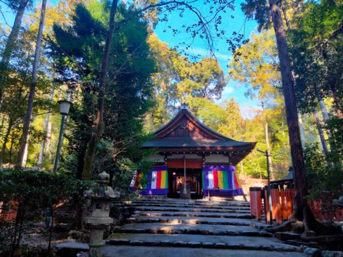 「光る君へ」聖地巡礼―紫式部も参拝した京都の守り神「上賀茂神社」＆「大田神社」