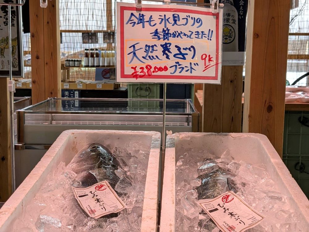 魚市場食堂が長蛇の列なら同系列の「ひみ岸壁市場・食堂」へ！ 寒ブリの鮮度はそのままに待ち時間のストレスなし！