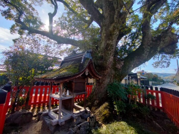 「光る君へ」聖地巡礼―紫式部も参拝した京都の守り神「上賀茂神社」＆「大田神社」