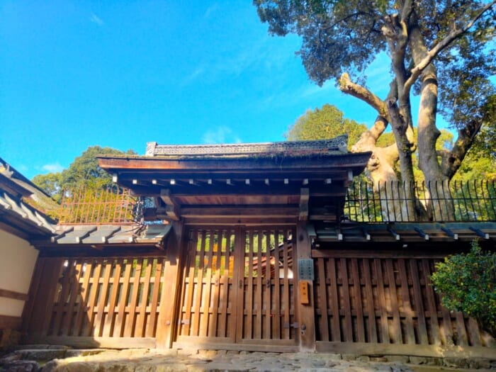 「光る君へ」聖地巡礼―紫式部も参拝した京都の守り神「上賀茂神社」＆「大田神社」