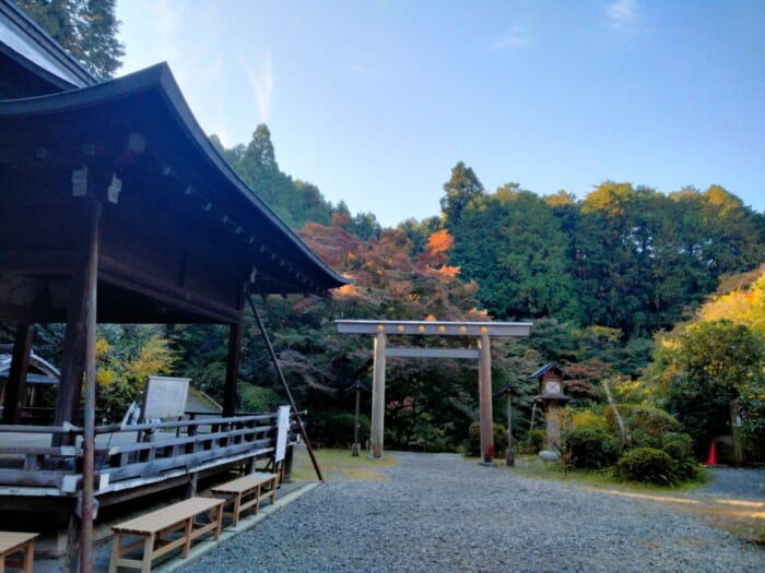 パワースポットマニアが本当は教えたくないお気に入りの京都のお伊勢さん「日向大神宮」