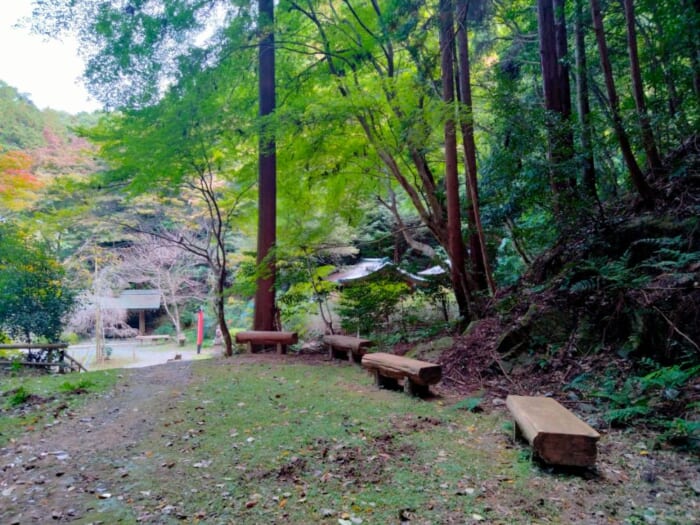 パワースポットマニアが本当は教えたくないお気に入りの京都のお伊勢さん「日向大神宮」