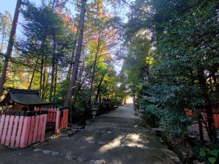 「光る君へ」聖地巡礼―紫式部も参拝した京都の守り神「上賀茂神社」＆「大田神社」