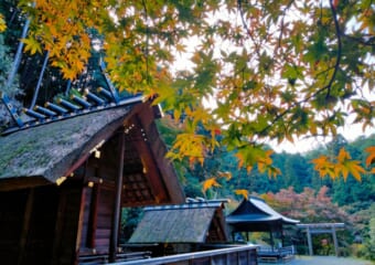 パワースポットマニアが本当は教えたくないお気に入りの京都のお伊勢さん「日向大神宮」