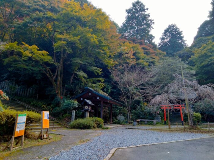 パワースポットマニアが本当は教えたくないお気に入りの京都のお伊勢さん「日向大神宮」