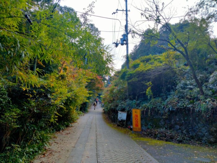 パワースポットマニアが本当は教えたくないお気に入りの京都のお伊勢さん「日向大神宮」