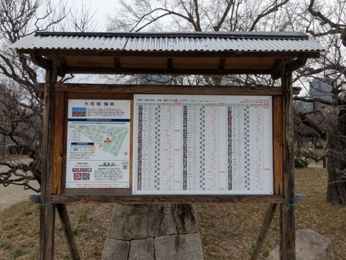 梅・桃・桜！ 2025年、大阪城公園の春の花リレー