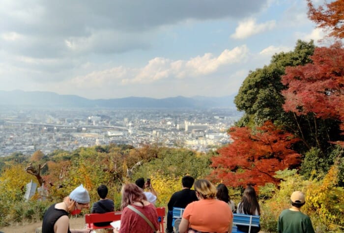 朱色の迷宮：伏見稲荷大社で迷い込む異世界体験