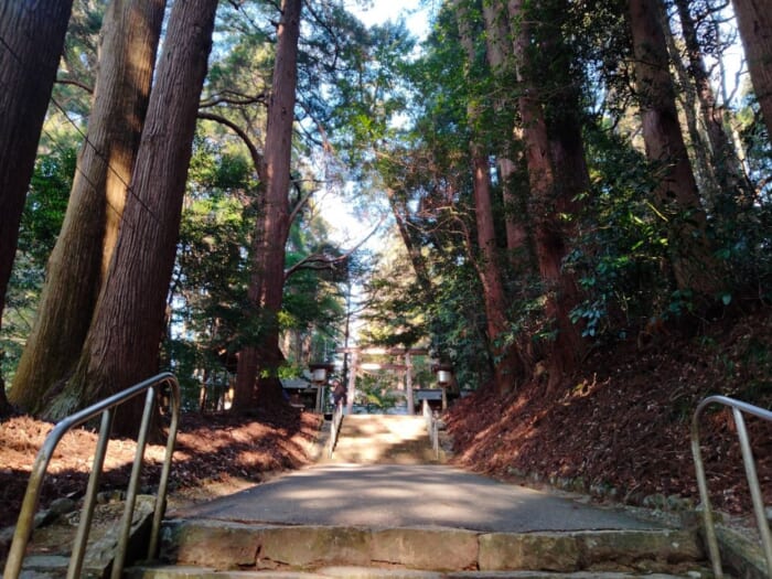 日本のルーツの地、高千穂―「天岩戸神社」の最強の浄化スポットを教えます