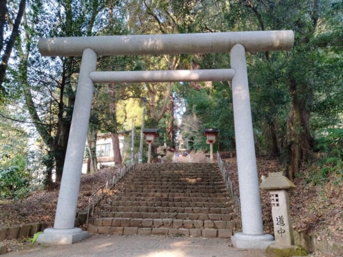 日本のルーツの地、高千穂―「天岩戸神社」の最強の浄化スポットを教えます